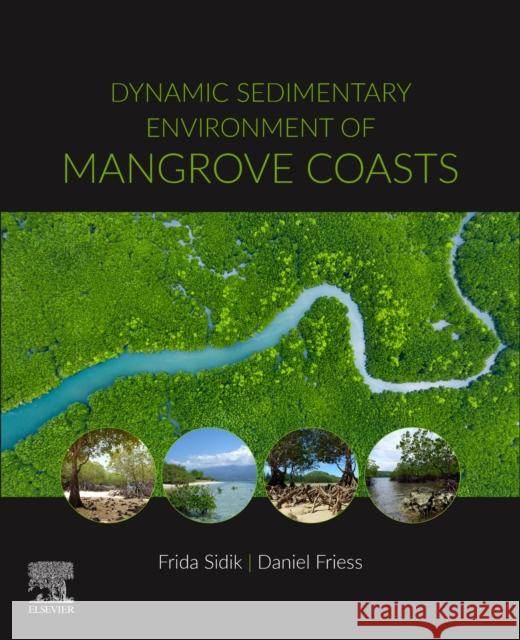 Dynamic Sedimentary Environments of Mangrove Coasts Daniel, Friess 9780128164372 Elsevier - książka