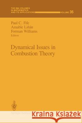 Dynamical Issues in Combustion Theory Paul C Paul C. Fife Amable Linan 9781461269571 Springer - książka