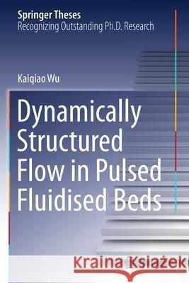Dynamically Structured Flow in Pulsed Fluidised Beds Kaiqiao Wu 9783030687540 Springer International Publishing - książka