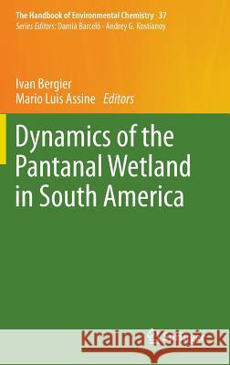 Dynamics of the Pantanal Wetland in South America Ivan Bergier Mario Assine 9783319187341 Springer - książka