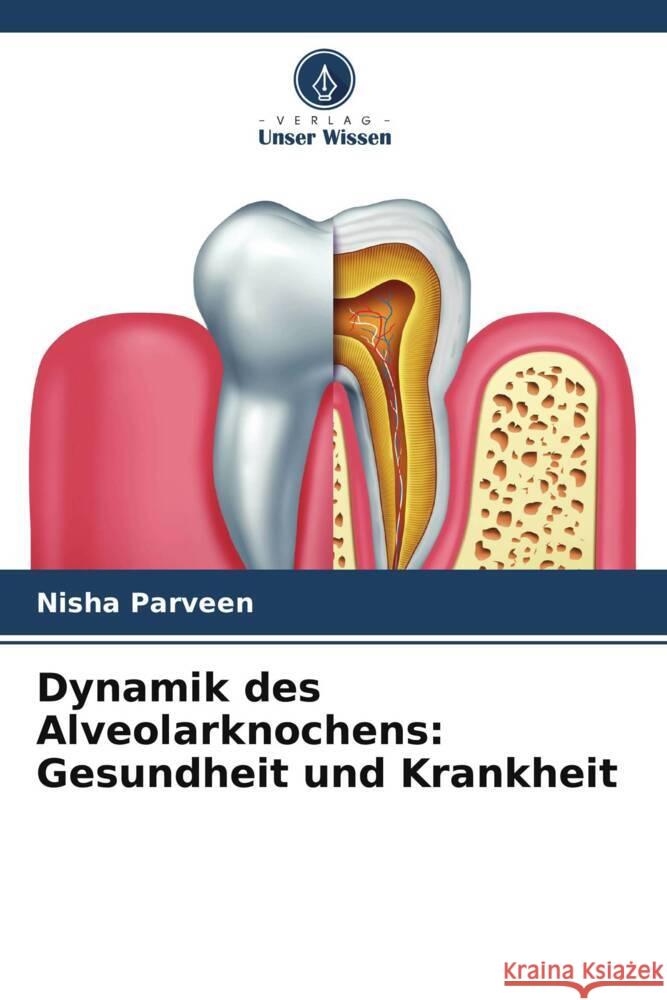 Dynamik des Alveolarknochens: Gesundheit und Krankheit Parveen, Nisha 9786205567074 Verlag Unser Wissen - książka