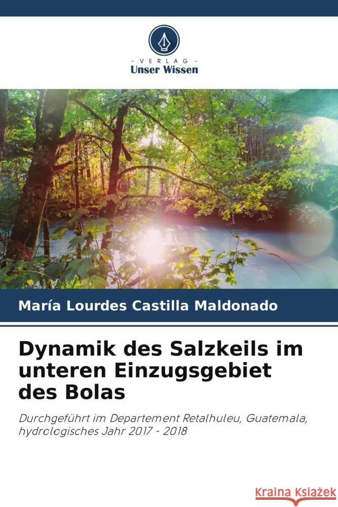 Dynamik des Salzkeils im unteren Einzugsgebiet des Bolas Castilla Maldonado, María Lourdes 9786206467755 Verlag Unser Wissen - książka