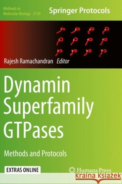 Dynamin Superfamily Gtpases: Methods and Protocols Rajesh Ramachandran 9781071606780 Humana - książka