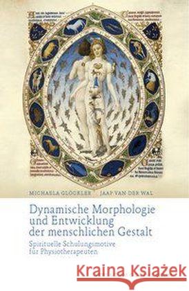 Dynamische Morphologie und Entwicklung der menschlichen Gestalt : Spirituelle Schulungsmotive für Physiotherapeuten Glöckler, Michaela; Wal, Jaap van der 9783723515525 Verlag am Goetheanum - książka