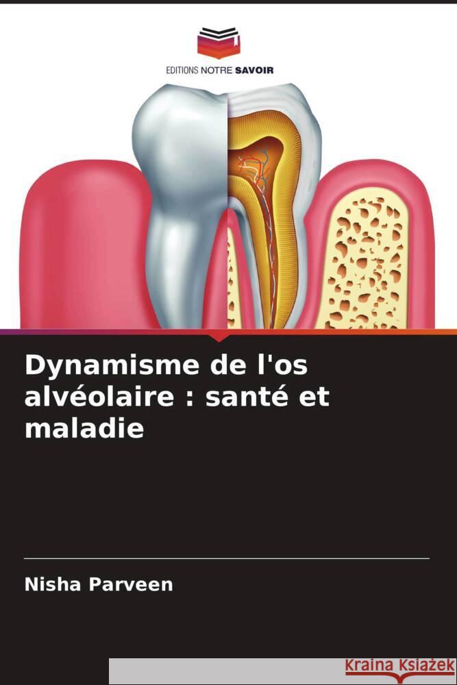 Dynamisme de l'os alvéolaire : santé et maladie Parveen, Nisha 9786205567067 Editions Notre Savoir - książka