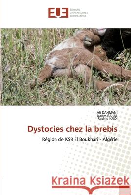 Dystocies chez la brebis Dahmani, Ali 9786139524808 Éditions universitaires européennes - książka