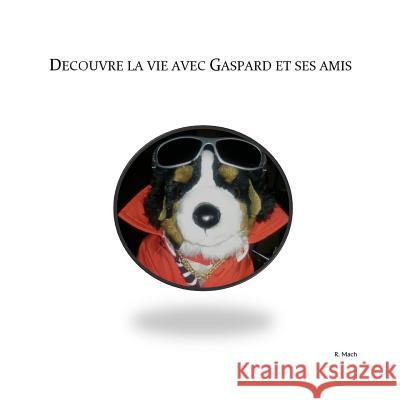 DZcouvre la vie avec Gaspard et ses amis R Mach 9780244407049 Lulu.com - książka