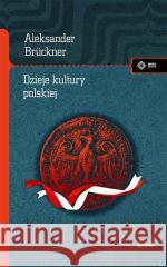 Dzieje kultury polskiej Aleksander Bruckner 9788379983247 vis-a-vis Etiuda - książka