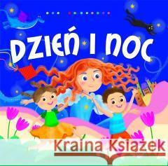 Dzień i noc Dorota Gellner, Ilona Brydak 9788382165975 Olesiejuk Sp. z o.o. - książka