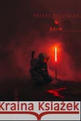 Dziw Nathan Ballingrud 9788368240283 Mag - książka