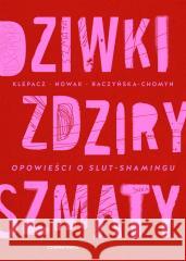 Dziwki, zdziry, szmaty. Opowieści o slut-shamingu Paulina Klepacz, Aleksandra Nowak, Kamila Raczyńs 9788382523133 Czarna Owca - książka