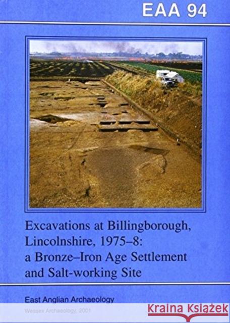 EAA 94: Excavations at Billingborough, Lincolnshire, 1975-8 : A Bronze-Iron Age Settlement and Salt-working Site Peter Chowne 9781874350323 East Anglian Archaeology - książka