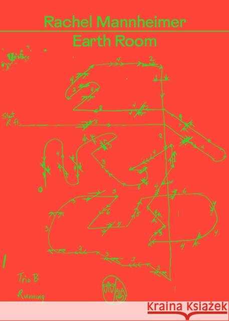 Earth Room Rachel Mannheimer 9781955125109 Hat & Beard Press - książka