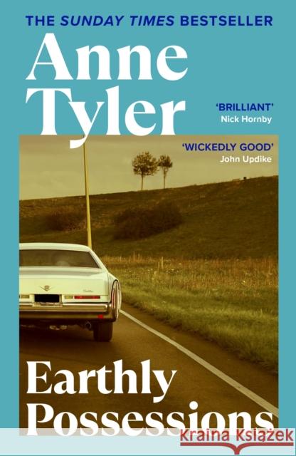 Earthly Possessions Anne Tyler 9780099463702  - książka