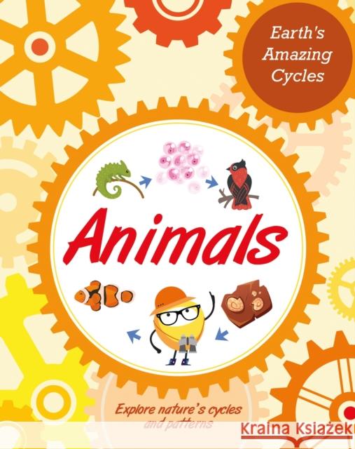 Earth's Amazing Cycles: Animals Sally Morgan 9781445181868 Hachette Children's Group - książka