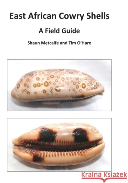 East African Cowry Shells: A Field Guide Metcalfe, Shaun 9781911113515 Spiderwize - książka