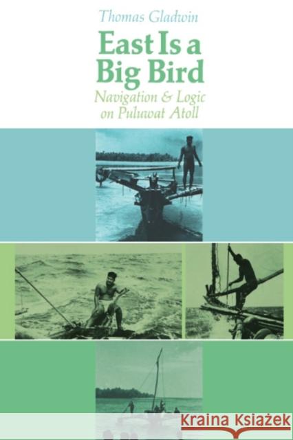 East Is a Big Bird: Navigation and Logic on Puluwat Atoll Gladwin, Thomas 9780674224261 Harvard University Press - książka