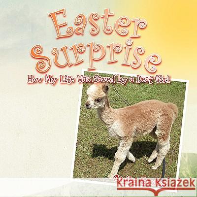 Easter Surprise Anita Gross 9781436377812 Xlibris Corporation - książka