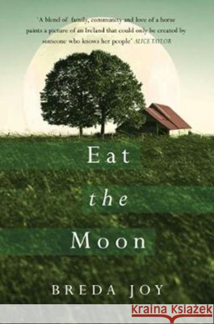 Eat The Moon Breda Joy 9781781998014 Poolbeg Press Ltd - książka