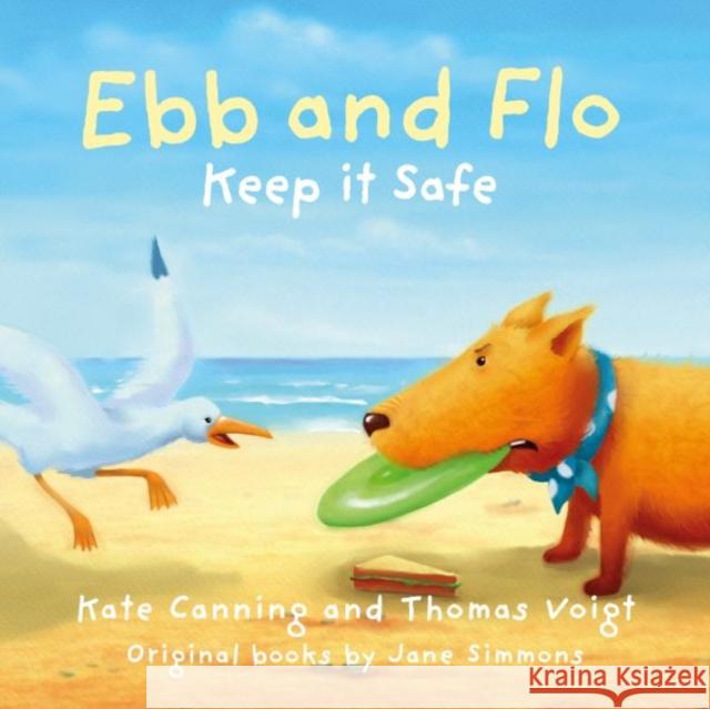 Ebb and Flo: Keep it Safe Kate Canning 9781802586107 Graffeg Limited - książka