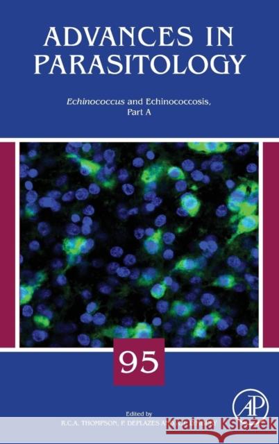 Echinococcus and Echinococcosis, Part a: Volume 95 Thompson, Andrew 9780128114711 Academic Press - książka