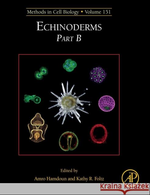 Echinoderms Part B: Volume 151 Hamdoun, Amro 9780128170724 Academic Press - książka