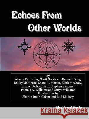 Echoes From Other Worlds Stephen Sanders (University of Nottingham School of Medicine, Nottingham), Kenneth King, Wendy Easterling 9780578045887 Blackbead Books - książka