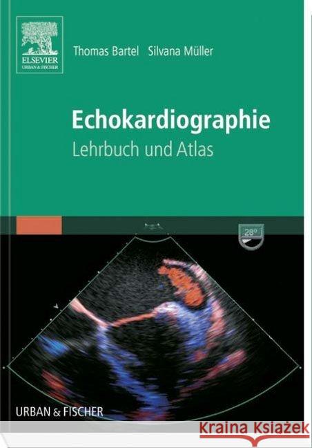 Echokardiographie : Lehrbuch und Atlas Bartel, Thomas 9783437313257 Urban & Fischer - książka