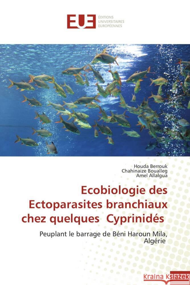 Ecobiologie des Ectoparasites branchiaux chez quelques Cyprinid?s Houda Berrouk Chahinaize Boualleg Amel Allalgua 9786206708339 Editions Universitaires Europeennes - książka
