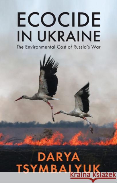Ecocide in Ukraine: The Environmental Cost of Russia's War Darya Tsymbalyuk 9781509562503 John Wiley and Sons Ltd - książka