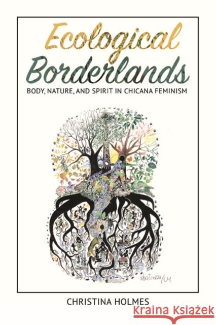 Ecological Borderlands: Body, Nature, and Spirit in Chicana Feminism Christina Holmes 9780252040542 University of Illinois Press - książka