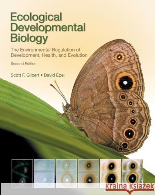 Ecological Developmental Biology: The Environmental Regulation of Development, Health, and Evolution Gilbert, Scott F. 9781605353449 Palgrave Macmillan Higher Ed - książka