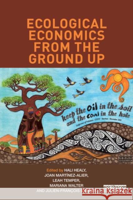 Ecological Economics from the Ground Up   9781849713993  - książka