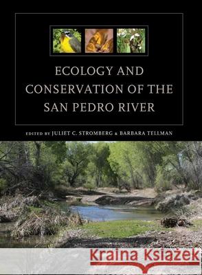 Ecology and Conservation of the San Pedro River Juliet C. Stromberg Barbara Tellman 9780816519507 University of Arizona Press - książka