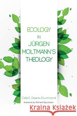 Ecology in Jurgen Moltmann's Theology Celia E. Deane-Drummond Richard Bauckham 9781498283526 Wipf & Stock Publishers - książka