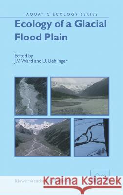 Ecology of a Glacial Flood Plain J. V. Ward U. Uehlinger 9781402017926 Kluwer Academic Publishers - książka