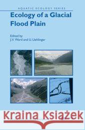 Ecology of a Glacial Flood Plain J. V. Ward U. Uehlinger 9789048165070 Not Avail - książka