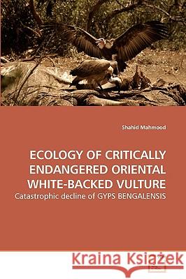 Ecology of Critically Endangered Oriental White-Backed Vulture Shahid Mahmood 9783639237658 VDM Verlag - książka