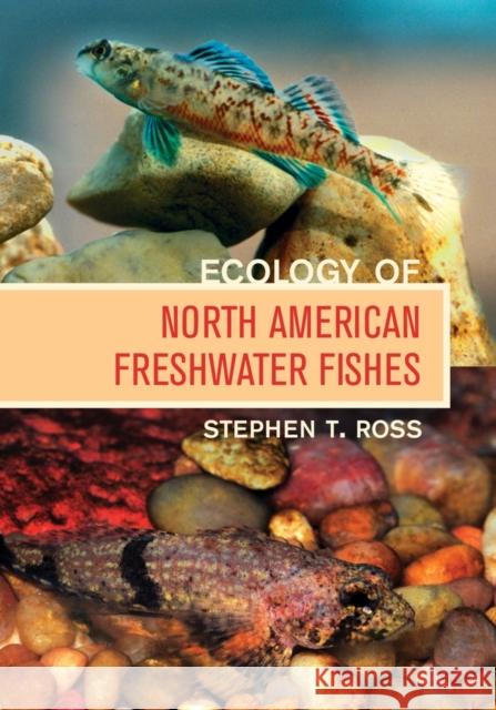 Ecology of North American Freshwater Fishes Stephen T Ross 9780520249455  - książka