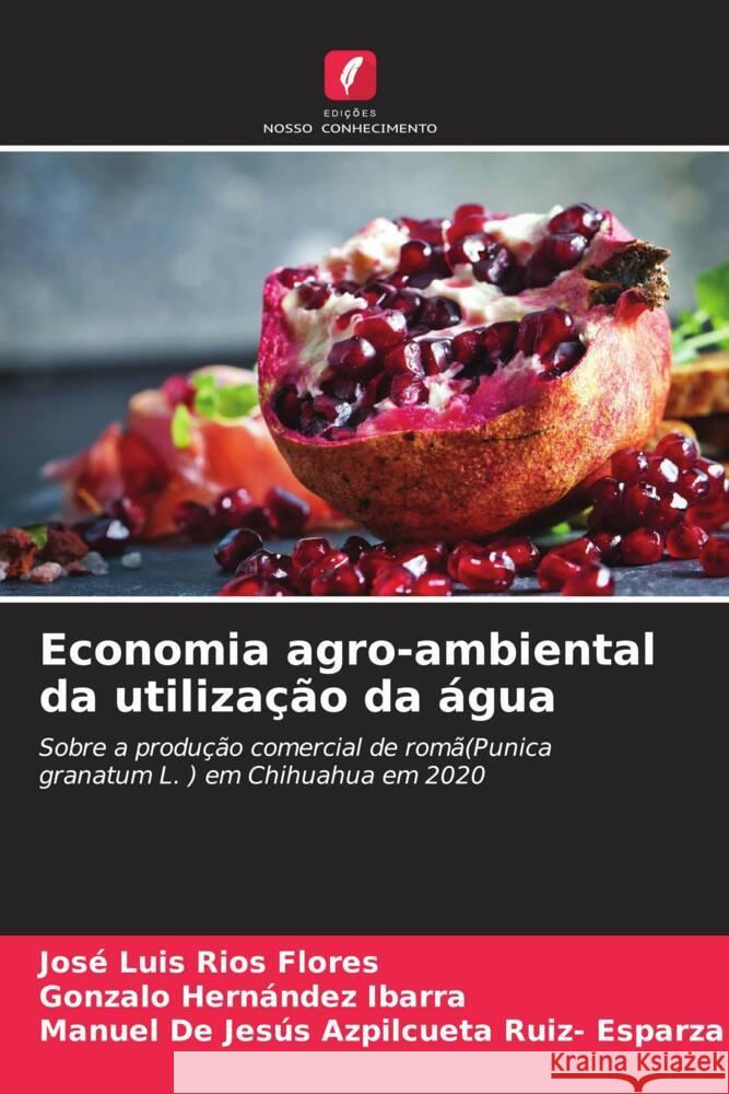 Economia agro-ambiental da utilização da água Ríos Flores, José Luis, Hernández Ibarra, Gonzalo, Azpilcueta Ruiz- Esparza, Manuel De Jesús 9786205168202 Edições Nosso Conhecimento - książka