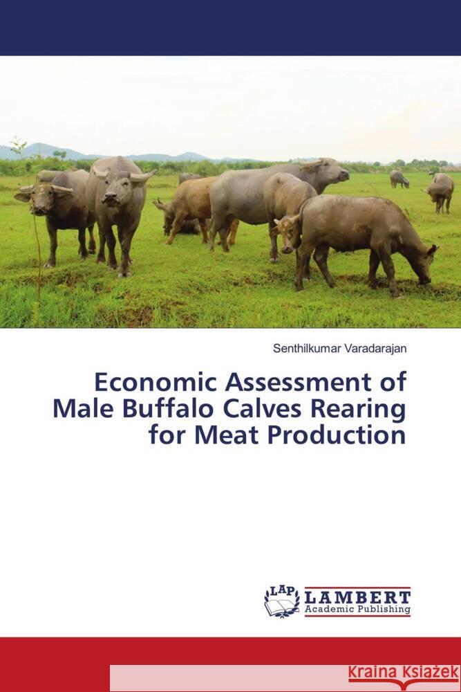 Economic Assessment of Male Buffalo Calves Rearing for Meat Production Varadarajan, Senthilkumar 9786204748382 LAP Lambert Academic Publishing - książka