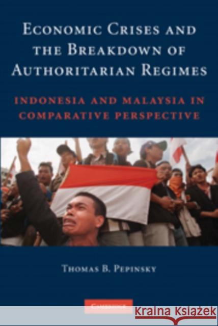 Economic Crises and the Breakdown of Authoritarian Regimes: Indonesia and Malaysia in Comparative Perspective Pepinsky, Thomas B. 9780521767934 Cambridge University Press - książka