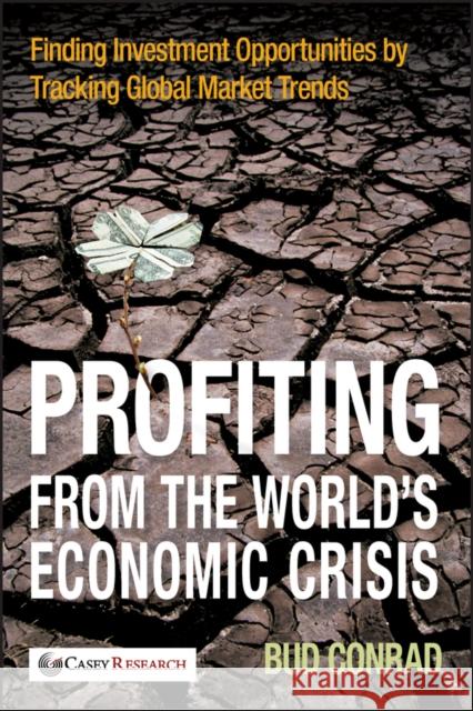 Economic Crisis Conrad, Bud 9780470460351 John Wiley & Sons - książka