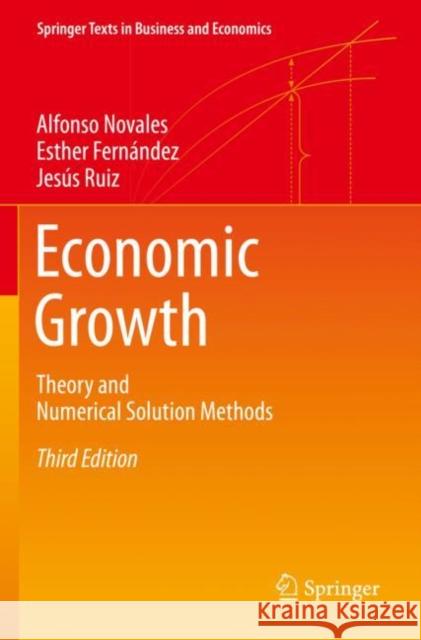 Economic Growth: Theory and Numerical Solution Methods Alfonso Novales Esther Fern?ndez Jes?s Ruiz 9783662639849 Springer - książka