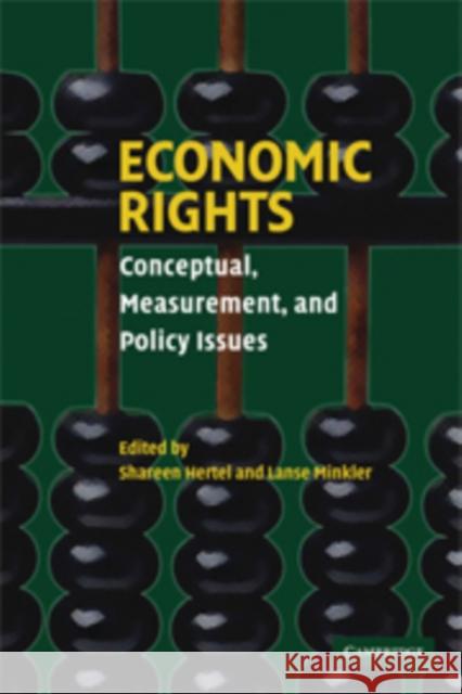 Economic Rights: Conceptual, Measurement, and Policy Issues Shareen Hertel (Associate Professor, University of Connecticut), Lanse Minkler (University of Connecticut) 9780521870559 Cambridge University Press - książka
