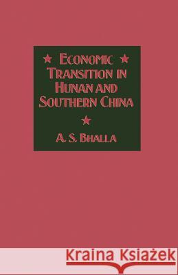 Economic Transition in Hunan and Southern China A. S. Bhalla 9781349072095 Palgrave MacMillan - książka