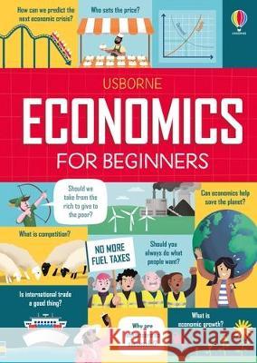 Economics for Beginners Andrew Prentice Lara Bryan Federico Mariani 9781805070061 Usborne Books - książka