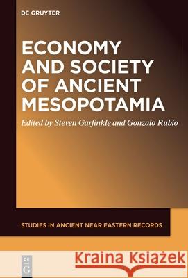 Economy and Society of Ancient Mesopotamia Steven Garfinkle Gonzalo Rubio 9781501521126 de Gruyter - książka
