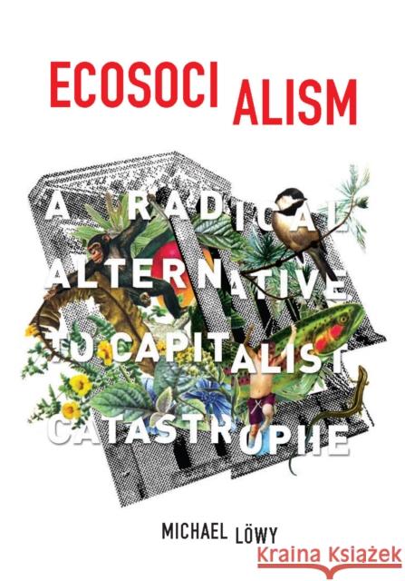 Ecosocialism: A Radical Alternative to Capitalist Catastrophe Michael Lowy 9781608464715 Haymarket Books - książka