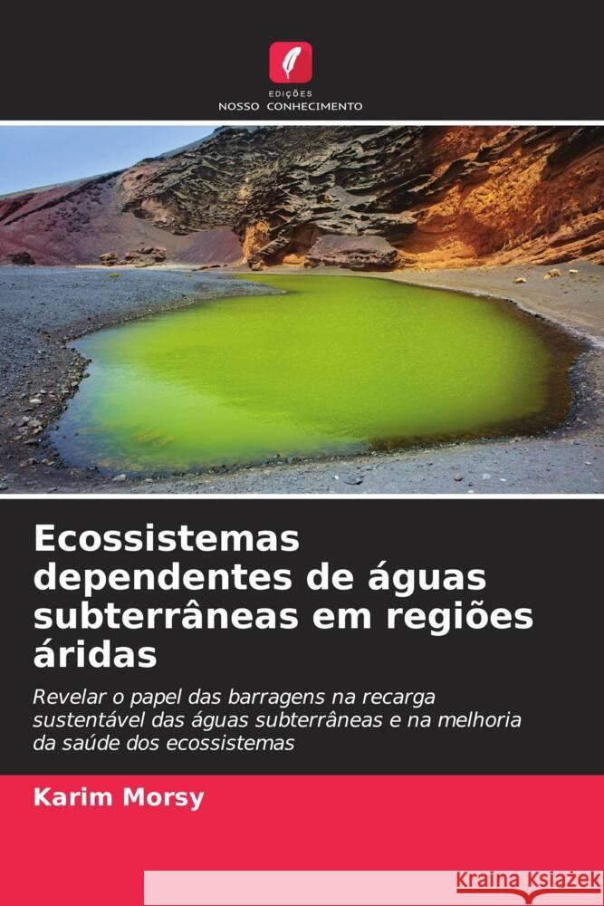 Ecossistemas dependentes de águas subterrâneas em regiões áridas Morsy, Karim 9786208573744 Edições Nosso Conhecimento - książka